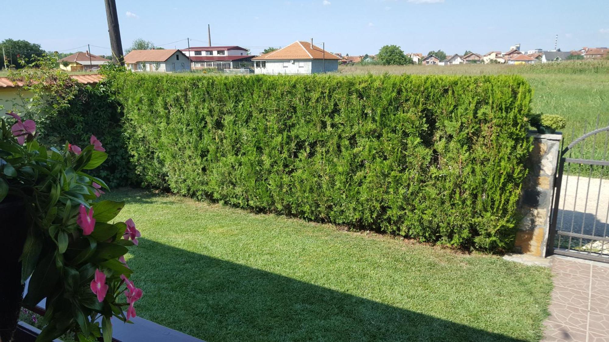 Holiday Home Di More Jagodina Bagian luar foto